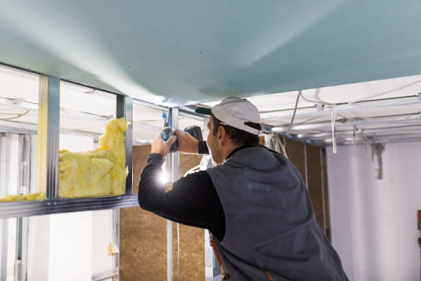 Best Specialty Insulation in Clinton, AR