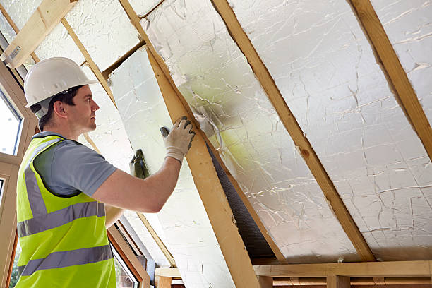 Best Commercial Insulation in Clinton, AR